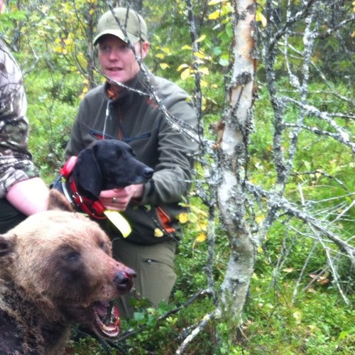 Förutom att umgås med familj och vänner har jag ett brinnande intresse för jakt, och då främst jakt på lo och björn med plotthund och american fox hound.