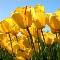 Follow me for a follow back! #TeamFollowBack
Shoutout's for shoutout's? #RT
