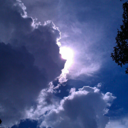 joydburns's profile picture. Blessed with the best family in the world. Great friends, good health, happiness. What more could I ask for?