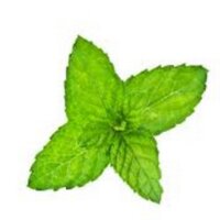 n3n3 (@n3n3q8) 's Twitter Profile