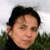 godard sabine (@sabinegodard) Twitter profile photo