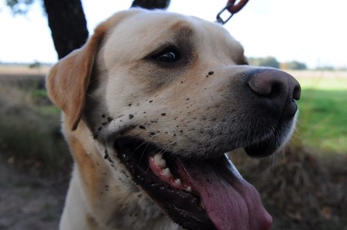 JTBrouwer's profile picture. 