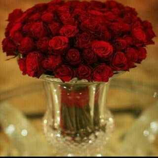 Les699's profile picture. Like lesbian