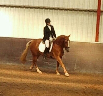 hoi alles goed XD