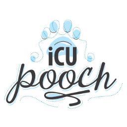 iCUpooch enables dog owners to visually interact and reward their dog while away or at work.