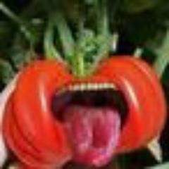 Originally joined Twitter to promote my seasoning. Now trapped. Can't get out.
