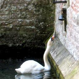 Siobhan Goodwin - Guided walks around England's smallest city: Heritage Walk Ghost Walk & Hot Fuzz film location tours of 'Sandford' too!