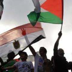 News1Gaza's profile picture. ♥♥ شرفونا بالانضمام لصفحه لن نتركك يا فلسطين ♥♥