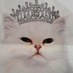 s.a. (@yabbaadabbaadu) Twitter profile photo s.a. (@yabbaadabbaadu) Twitter profile photo