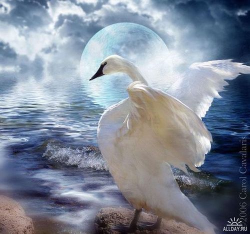 HazOlesya's profile picture. 