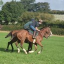 amy broome - @broomer12 - Twitter