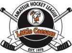 The largest amateur hockey league in the US with over 650 youth teams and 11,000 players.