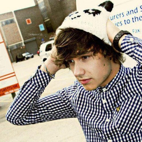 LiamPayneASRP's profile picture. 1/5 of one direction ☺ spoons scare the crap out of me, toy story is better than you :3 single