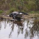 DELORES FREDERICK - @FREDSTWO - Twitter