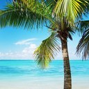 Ann fraley - @ann_fraley - Twitter