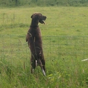 janice stephen - @StephenJani - Twitter