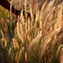 Solitarnesque's profile picture. You don't need to look for me I am right behind you ! Rts don't necessarily mean endorsement, - views are entirely personal - Life's a Para Para Parody Alert