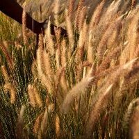 Solitary (@solitarnesque) 's Twitter Profile Photo