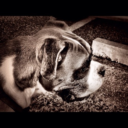 B0XERB0Y's profile picture. 