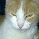 J. Nathan Bearden - @FU_U_FNF - Twitter