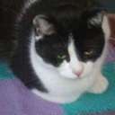 kate wall - @korpen77 - Twitter