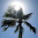 Khaleda Ali - @Khaleda_Ali - Twitter