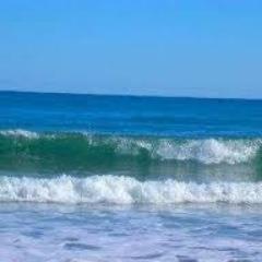 28Seashell's profile picture. 