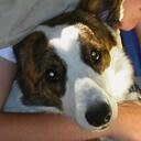 jeff craddock - @tapout11 - Twitter