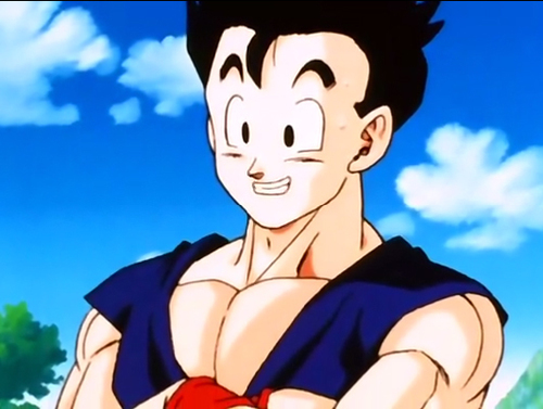 Hey There! I'm Gohan, son of Goku and Chi Chi, and my annoying brother Goten. I am secretly, The Great Saiyaman!!! {Role Play}