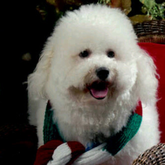 soler_nestor's profile picture. Ingeniero mecanico LUZ '75