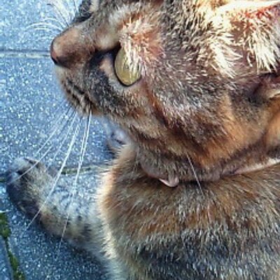 すずひろ