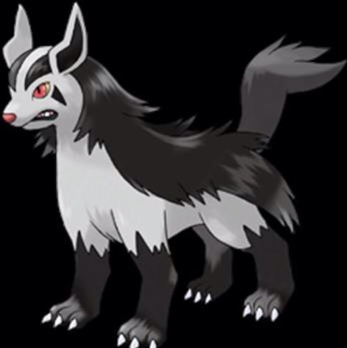 #female #single trainer: @5thGenTrainer