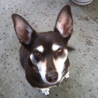 Patrick Garnatz (@pgarn750) 's Twitter Profile