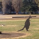 Wayne McIntyre - @wmacca32 - Twitter