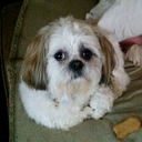 Renee Olsen - @naynay6950 - Twitter