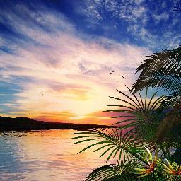 AllonClintonLa1's profile picture. 