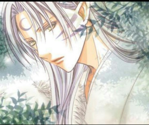 I'm Sesshomaru, who rules the western lands. Don't waste you time trying to fight me, you'll only get yourself killed. My mate @DemonLordKagura. #InuYasha #RP
