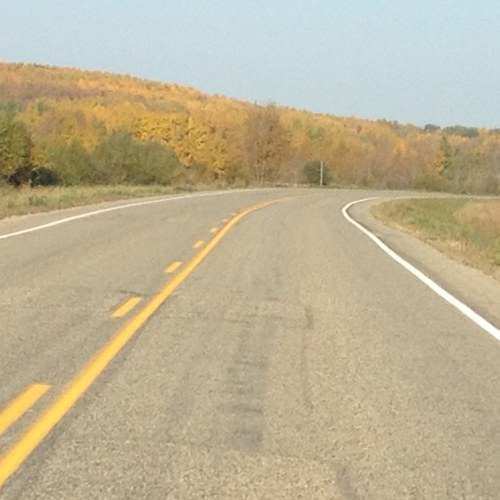 ChantelBrez's profile picture. 