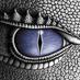 Alexandre H.L. Porto (@xandaolp) Twitter profile photo