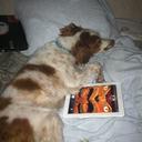 Holly Gaddy - @duh_holly - Twitter