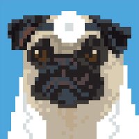 Doctor Pug (@doctorpug) 's Twitter Profile Photo
