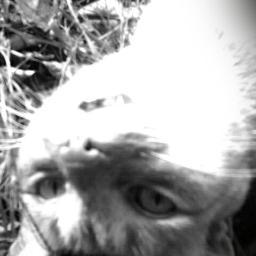 Soy un gato! #COOLCAT #TEAMFOLLOWBACK Soy un gato, pero soy normal. I am a cat. 1 Tuitero Malo ٩(๏̯͡๏)۶ Laid Back Kinda Kitty ~ I SUPPORT SIGNO NATA ↓