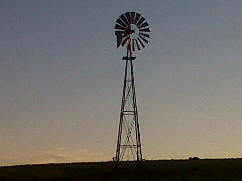 farm99girl's profile picture. 