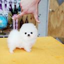 Tom Lancaster - @TomHaydn - Twitter