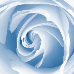 APHIS23's profile picture. 