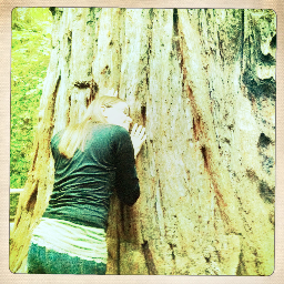 von_stitch's profile picture. if kentucky and california had a baby state, life would be perfect.