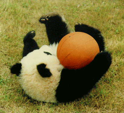 ThiagoHCFC's profile picture. 