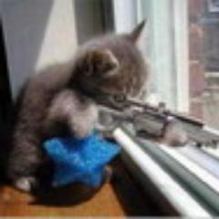 HooKaRu's profile picture. 