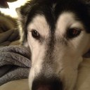 Joseph MacPherson - @pendulumaaod - Twitter