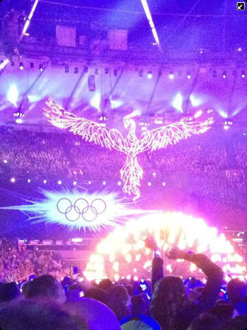 BradenSpoons's profile picture. just looking at stuff I enjoy